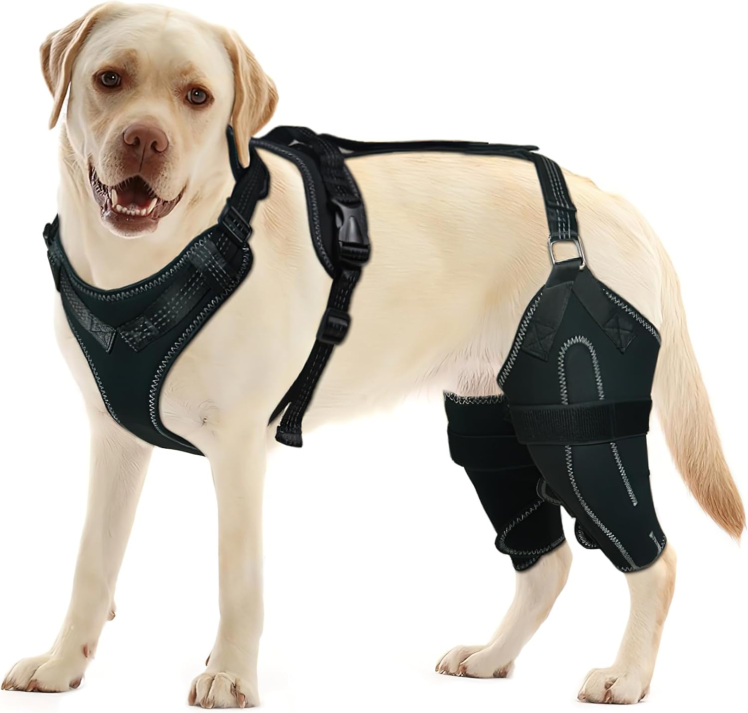 Dog Knee Brace for Torn ACL/CCL